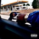 Rolie Out the Window