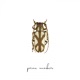 Prime Numbers Single