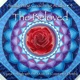 The Beloved feat Constance Demby