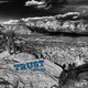 Trust Single