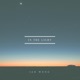 In the Light Single