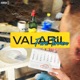Valabil Fara Termen Partea 1