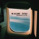 Malibu Ting feat Calumdj Bonnema Single