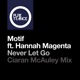 Never Let Go feat Hannah Magenta Ciaran Mcauley Remix Single