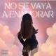 No Se Vaya A Enamorar Single