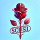 Scusi Single