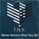 Never Gonna Give You Up Single