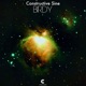 Birdy Single