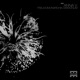 Pseudomonarchia Daemonum Single