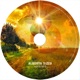 Aufstieg Single