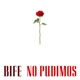 No Pudimos