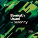 Serenity Single