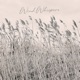 Wind Whispers Single