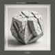 Night Ceremony Single