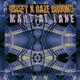 Martial Lane The Cool Lounge Remix Single
