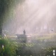 Dear Mother Nature feat Sofuu Single