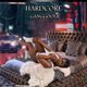 Hardcore Single