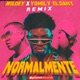 Normalmente Remix Single