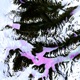 Pink Hurricane Single
