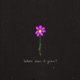 Where does it grow feat Córríne Grace Single