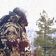 Life of a Stone Instrumental