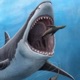 Shark remix feat Drippy Single