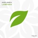Lampara Single