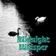 Midnight Whisper Single