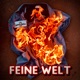Feine Welt Single