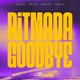 Ritmada Goodbye feat Guiba 011 Single