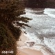 Seaside Single