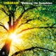 Walking On Sunshine Single