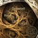 Roots of Lands Single