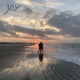 JOY Single