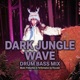 Dark Jungle DnB mix Single