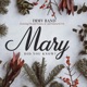 Mary Did You Know feat Donald Simms Jr Amarachi Ude Single