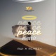 Peace of Mind Single