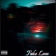 Fake Love Single