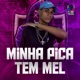 Minha Pica Tem Mel Single