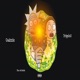 Dragon ball feat Quizzie TripleX Single