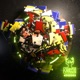 King of the Jungle Single