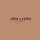 white rabbit Cover Single
