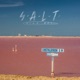 S A L T Intro Single