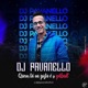 Troquei Minha Aliaça Num Litro De Lança feat Mc Vr Single