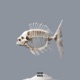 Ceviche Single