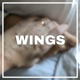 Wings Single