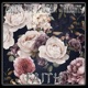 Faith Single