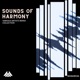Mess of Soul Tobias Gesumaria Remix Single