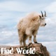 Find World EP