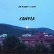 Canela feat ELpe Single